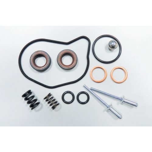 Bosch CP3 Gear Pump Repair Kit euro diesel