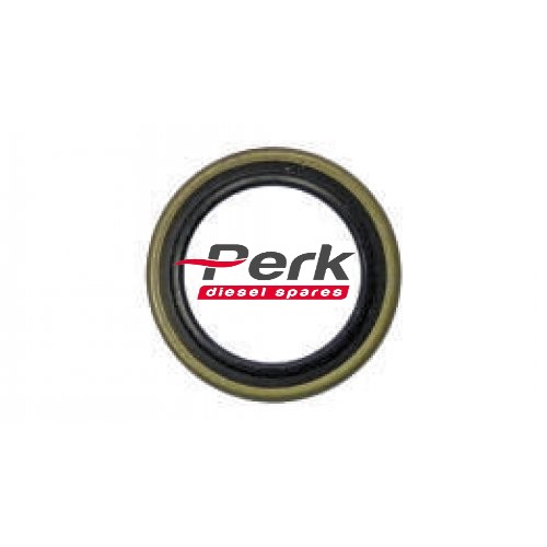 diesel spare A4-06024 F01M100085