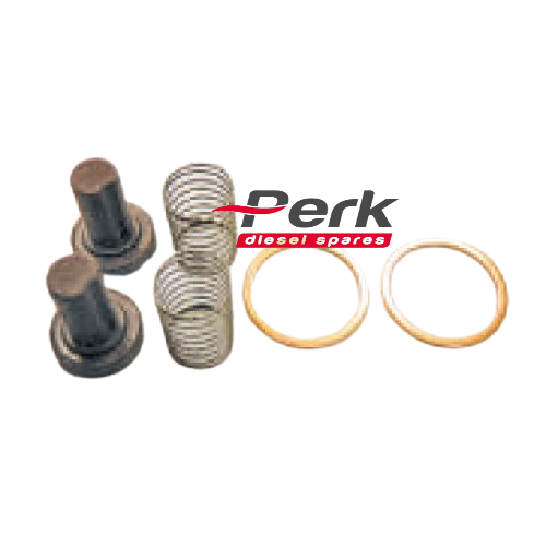 diesel spare P7-06009 2447010011