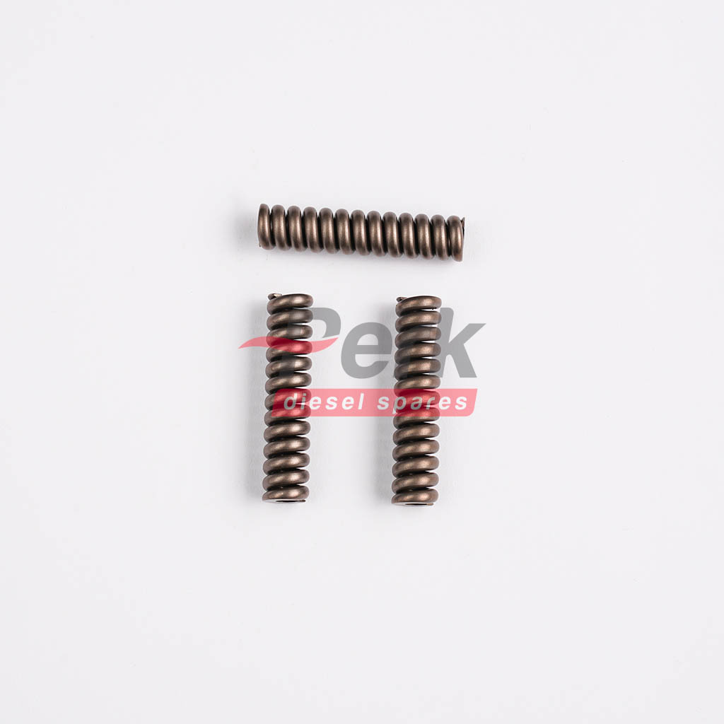 Injector Compression Springs P2-02032 